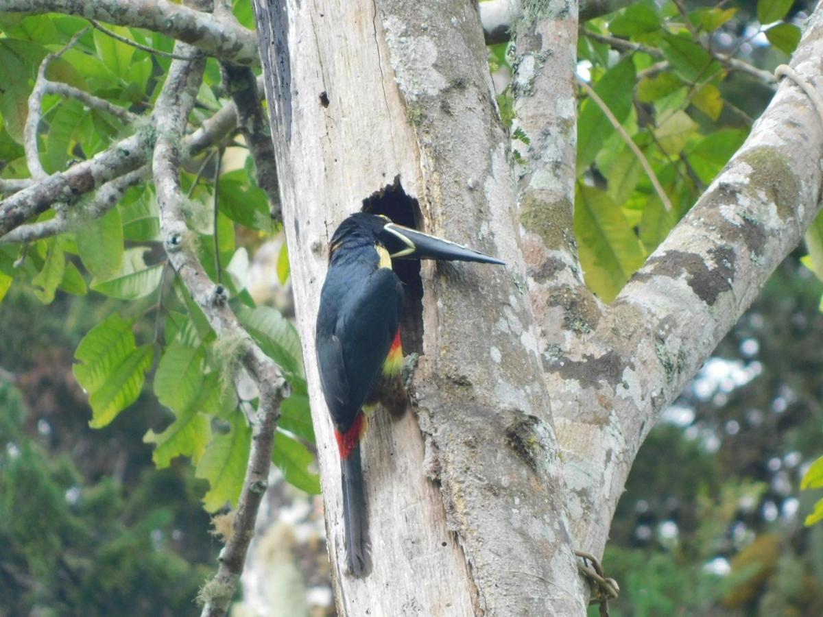 Guayabo Lodge Santa Cruz  Luaran gambar